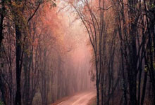 雷速体育：客场两球不敌尤文图斯 曼市欧冠再吞败仗.