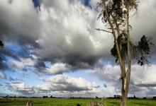 雷速体育：印第安维尔斯站郑钦文晋级16强 王欣瑜不敌佩古拉2025-03-12.