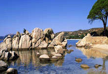 雷速体育：三双威震天！威斯布鲁克当选今日JRs评选最佳球员.